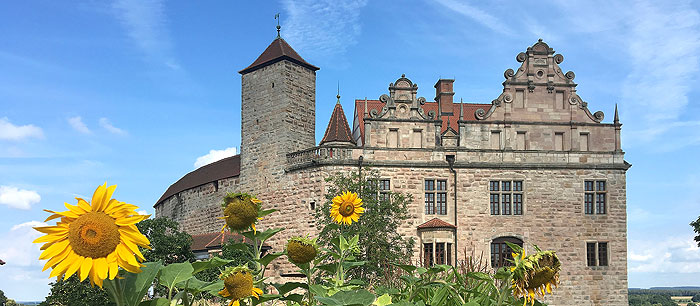 Bild: Cadolzburg mit Sonnenblumen