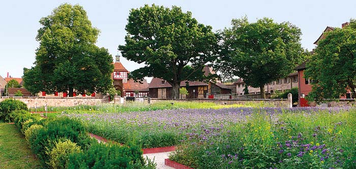 Picture: Cadolzburg Garden