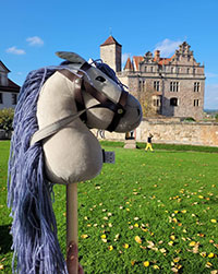 Steckenpferd vor der Cadolzburg Bild: Steckenpferd vor der Cadolzburg